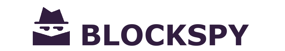 BlockSpy Logo